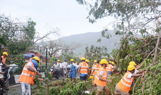 Power poles, trees collapse due rain and winds